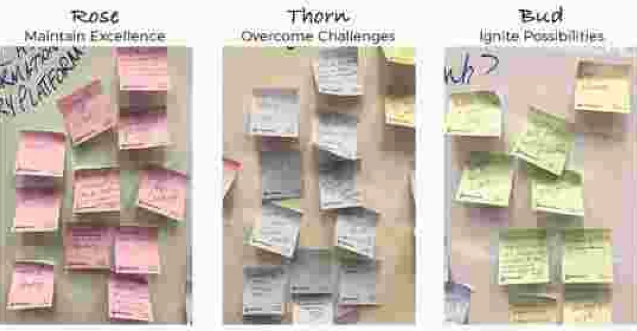 Three panels of Post-It Notes, Pink, Blue, Green for Rose, thorn, bud