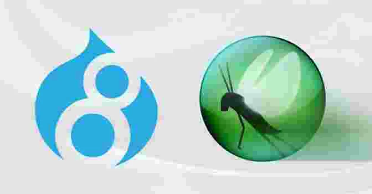 A side-by-side image of the Drupal 8 and Locust logos.