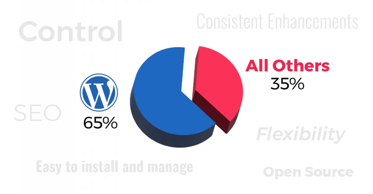 WordPress stats and popularity factors