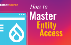 How to Master Hook Entity Access with Drupal