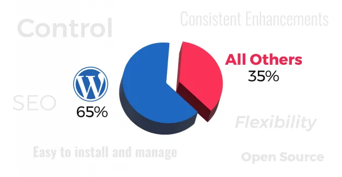 WordPress stats and popularity factors